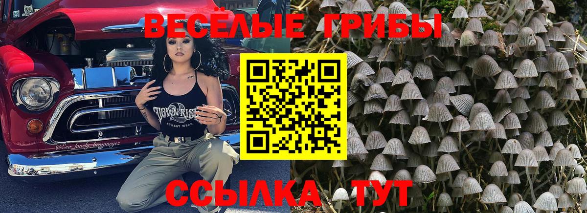 Каспийск  Псилоцибиновые грибы мухоморы  Вход с VPN 