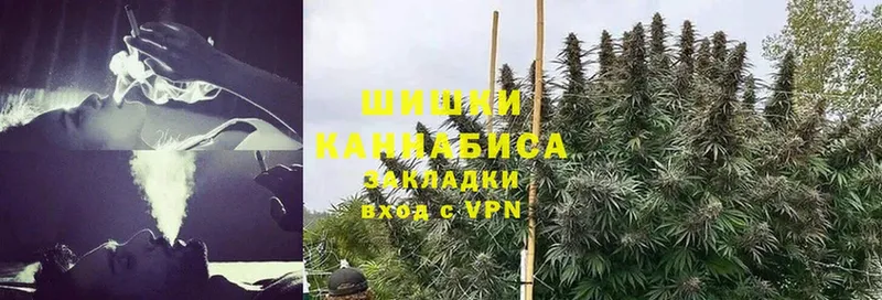 Каннабис OG Kush  Каспийск 